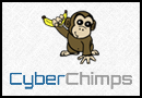 CyberChimps iFeature Pro Responsive WordPress Theme with Drag & Drop now 50% off!